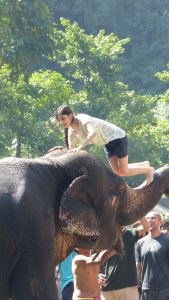 Elephant ride during activity week